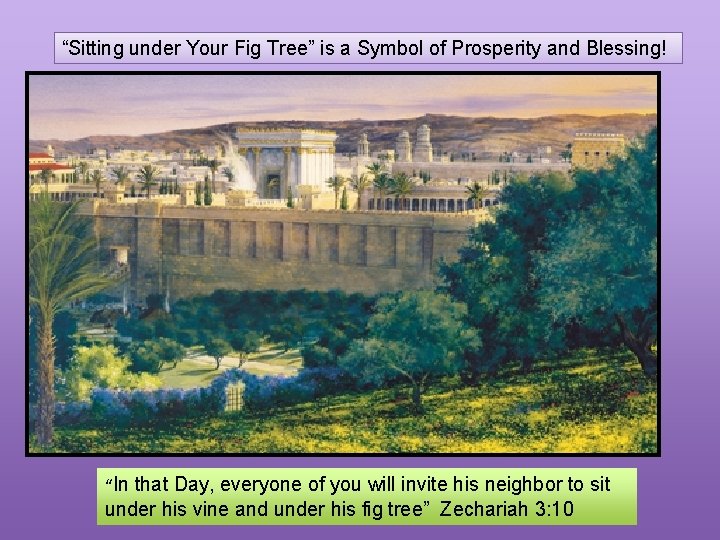 “Sitting under Your Fig Tree” is a Symbol of Prosperity and Blessing! “In that