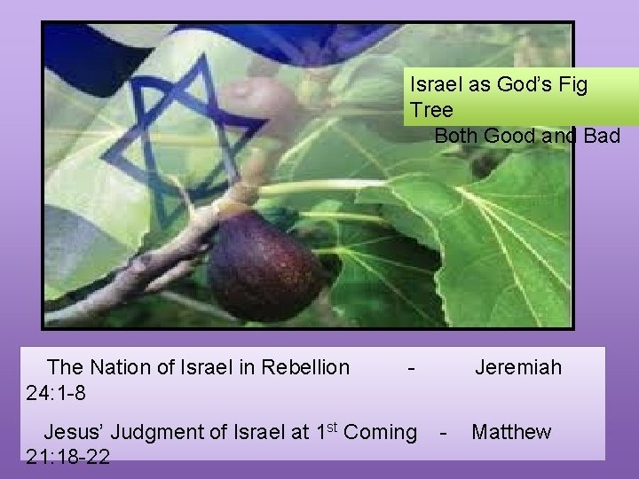 Israel as God’s Fig Tree Both Good and Bad The Nation of Israel in