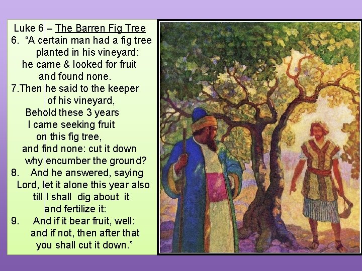  Luke 6 – The Barren Fig Tree 6. “A certain man had a