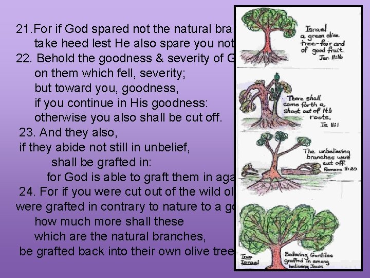 21. For if God spared not the natural branches, take heed lest He also