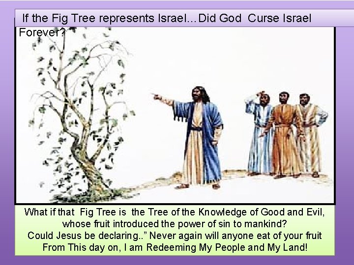  If the Fig Tree represents Israel…Did God Curse Israel Forever? What if that