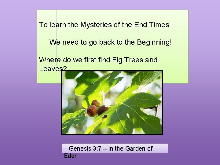 To learn the Mysteries of the End Times We need to go back to