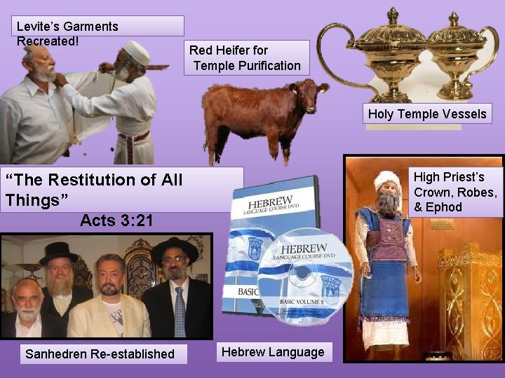 Levite’s Garments Recreated! Red Heifer for Temple Purification Holy Temple Vessels High Priest’s Crown,