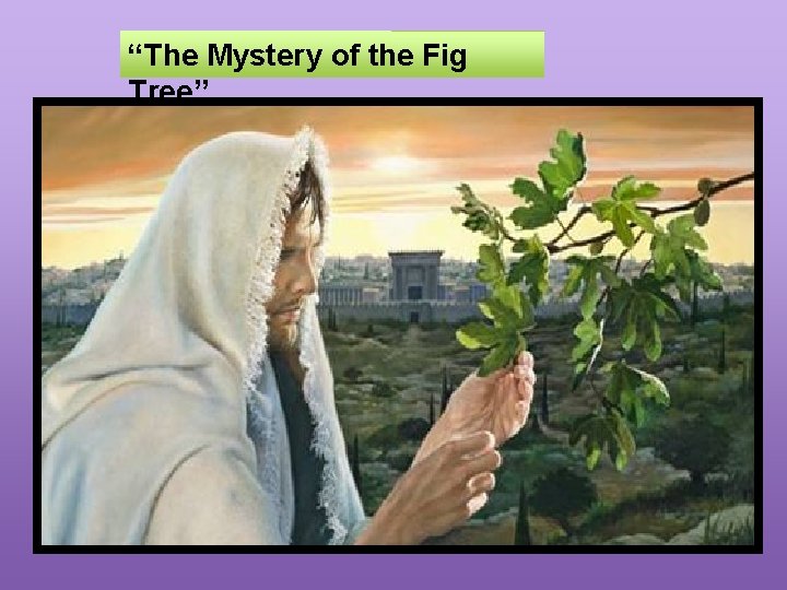 “The Mystery of the Fig Tree” 