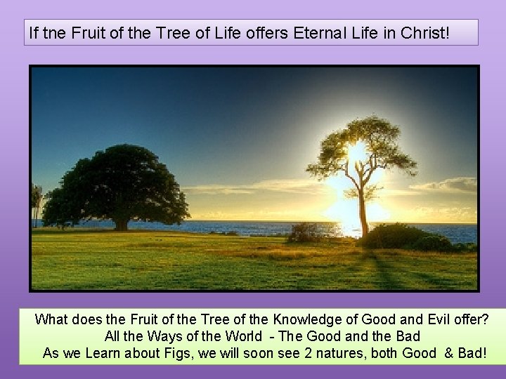 If tne Fruit of the Tree of Life offers Eternal Life in Christ! What