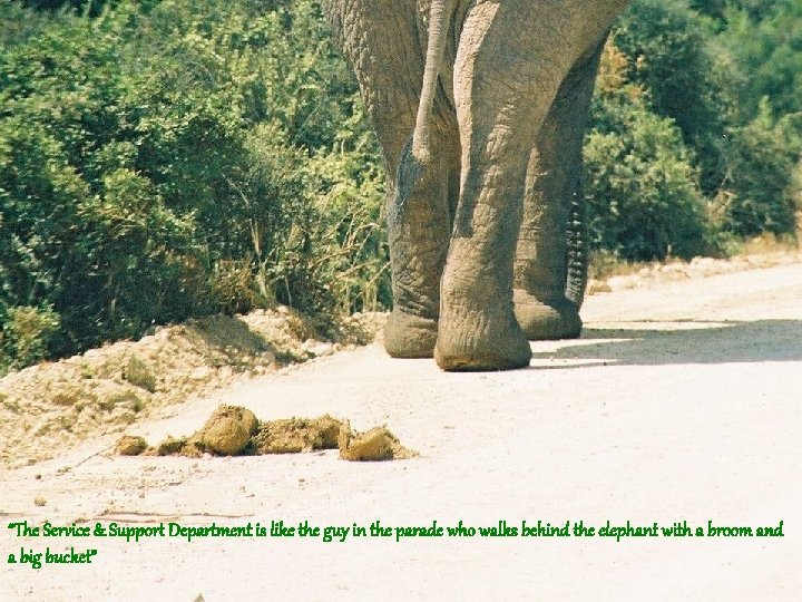 “The Service & Support Department is like the guy in the parade who walks