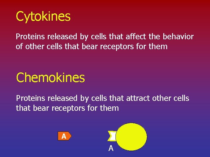 Cytokines Proteins released by cells that affect the behavior of other cells that bear