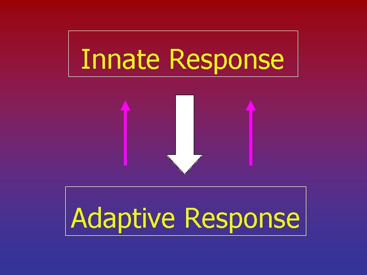 Innate Response Adaptive Response 