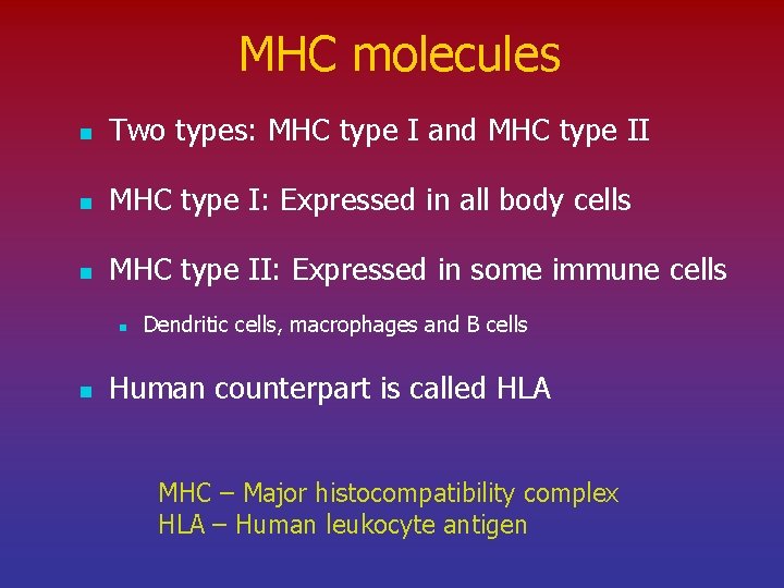 MHC molecules n Two types: MHC type I and MHC type II n MHC