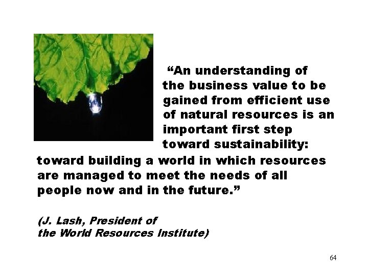 “An understanding of the business value to be gained from efficient use of natural