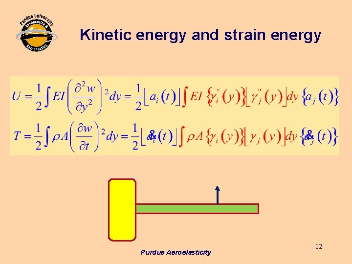Kinetic energy and strain energy Purdue Aeroelasticity 12 Kinetic energy and strain energy Purdue Aeroelasticity 12