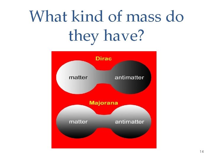 What kind of mass do they have? 14 