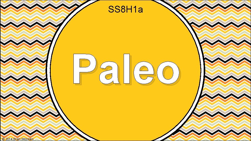 SS 8 H 1 a Paleo © 2014 Brain Wrinkles 