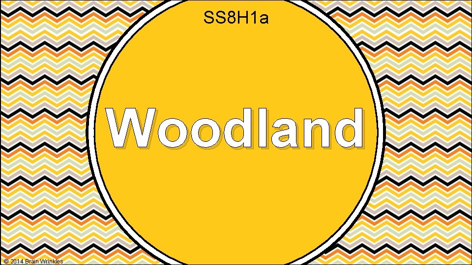 SS 8 H 1 a Woodland © 2014 Brain Wrinkles 