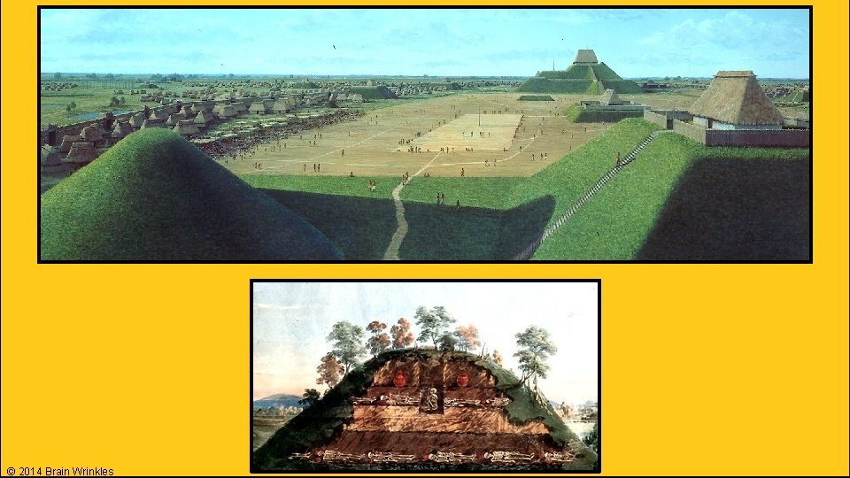 © 2014 Brain Wrinkles 