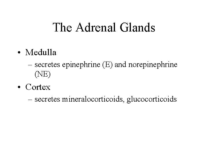 The Adrenal Glands • Medulla – secretes epinephrine (E) and norepinephrine (NE) • Cortex