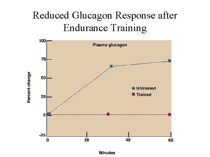 Reduced Glucagon Response after Endurance Training 