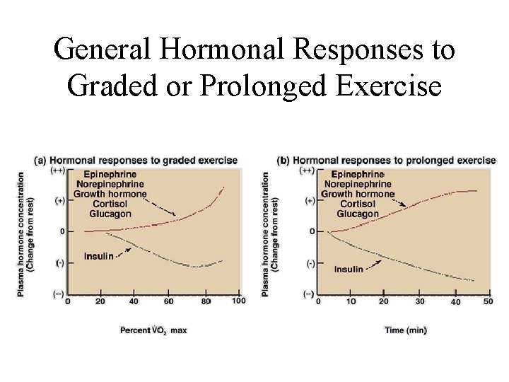 General Hormonal Responses to Graded or Prolonged Exercise 