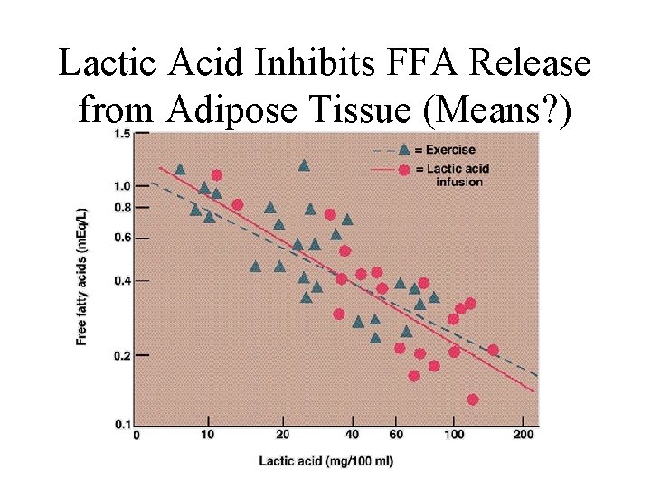 Lactic Acid Inhibits FFA Release from Adipose Tissue (Means? ) 