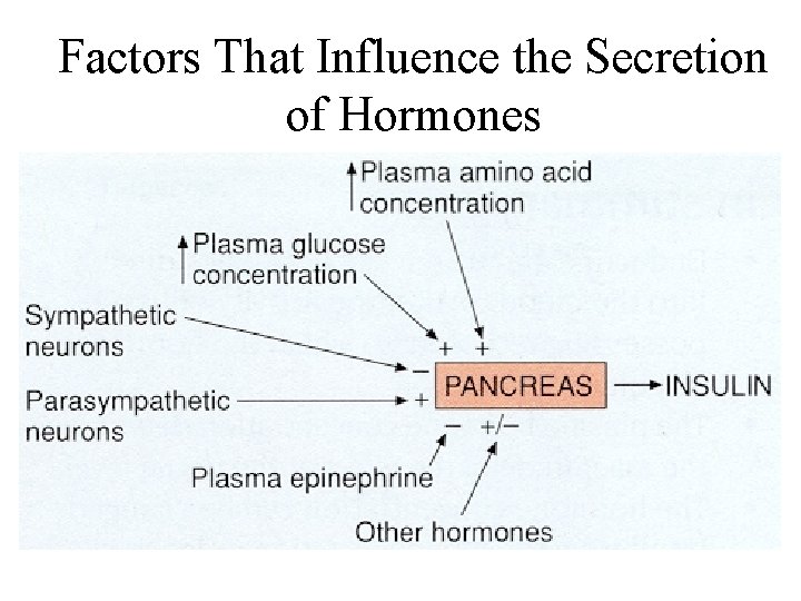 Factors That Influence the Secretion of Hormones 