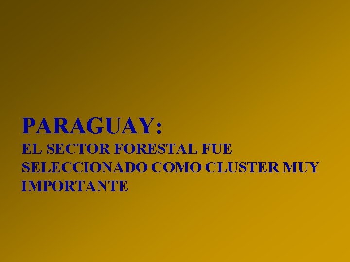 PARAGUAY: EL SECTOR FORESTAL FUE SELECCIONADO COMO CLUSTER MUY IMPORTANTE 