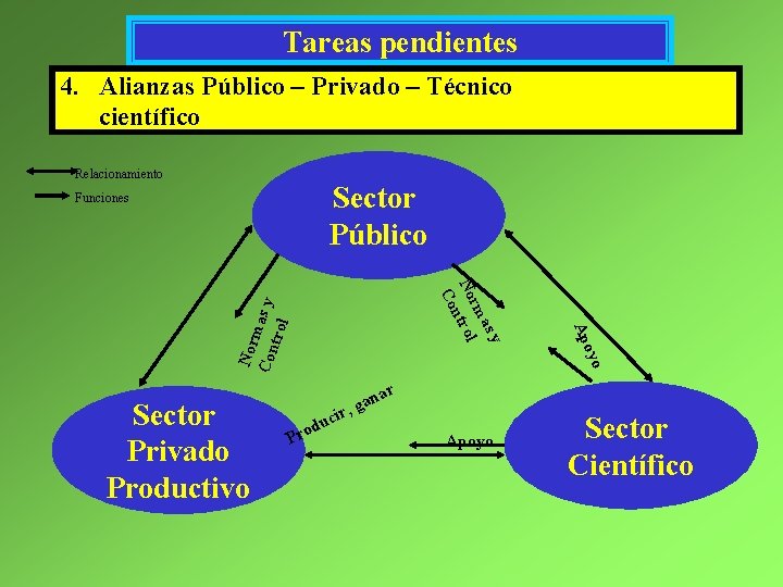 Tareas pendientes 4. Alianzas Público – Privado – Técnico científico Relacionamiento Sector Público Funciones