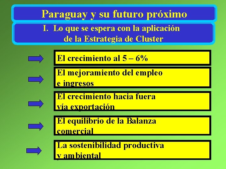 Paraguay y su futuro próximo I. Lo que se espera con la aplicación de