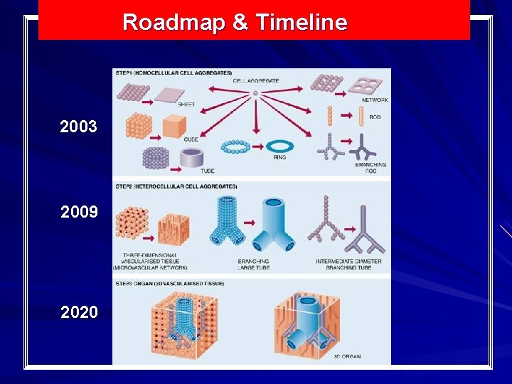 Roadmap & Timeline 2003 2009 2020 