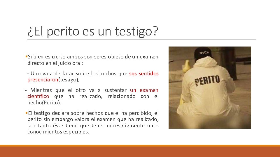 ¿El perito es un testigo? §Si bien es cierto ambos son seres objeto de