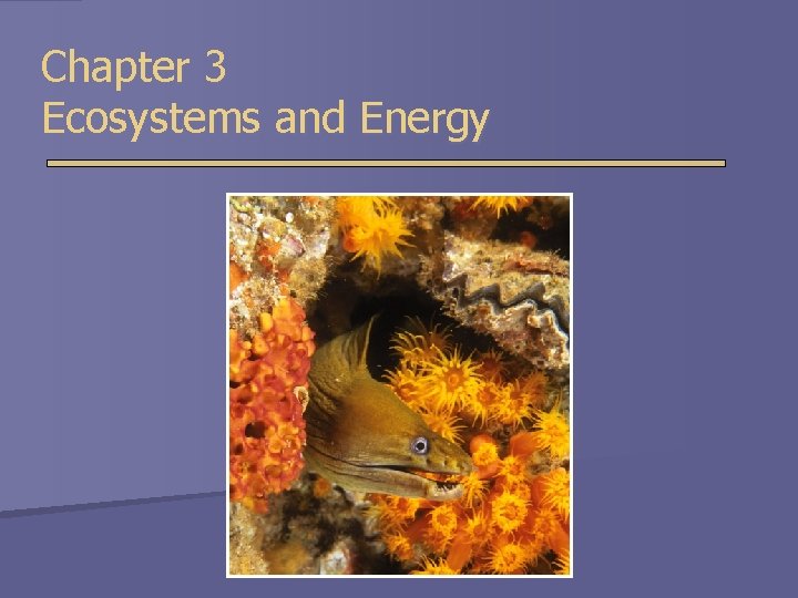 Chapter 3 Ecosystems and Energy 