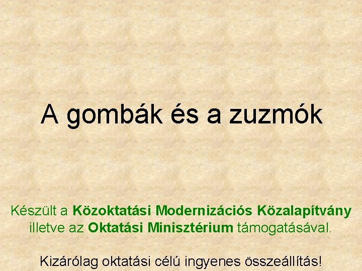 A gombák és a zuzmók Készült a Közoktatási Modernizációs Közalapítvány illetve az Oktatási Minisztérium