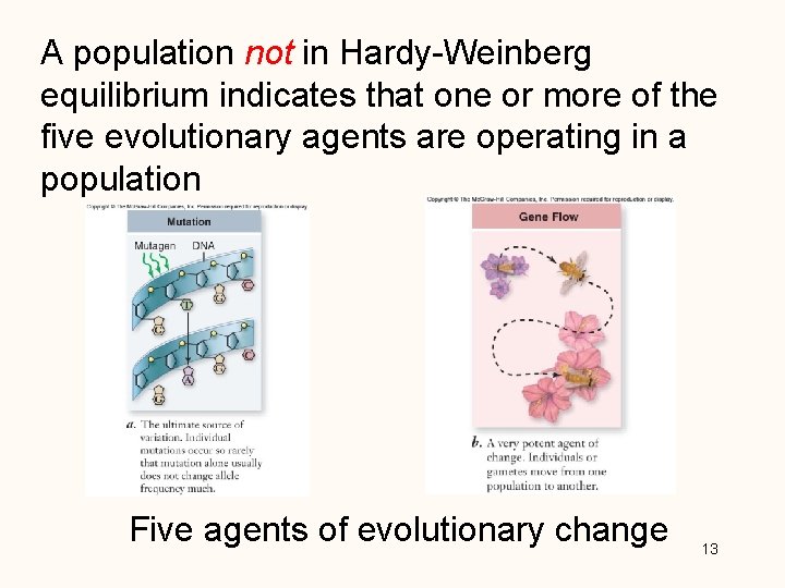 A population not in Hardy-Weinberg equilibrium indicates that one or more of the five