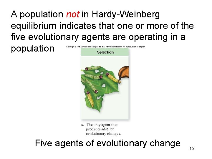 A population not in Hardy-Weinberg equilibrium indicates that one or more of the five