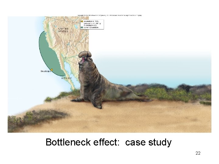 Bottleneck effect: case study 22 