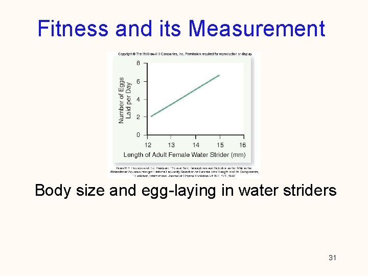 Fitness and its Measurement Body size and egg-laying in water striders 31 