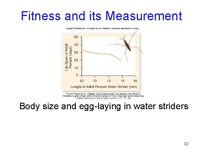 Fitness and its Measurement Body size and egg-laying in water striders 32 