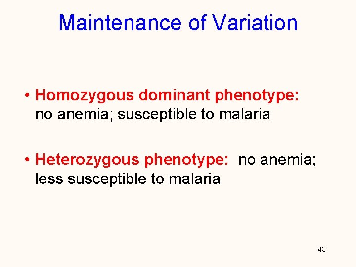 Maintenance of Variation • Homozygous dominant phenotype: no anemia; susceptible to malaria • Heterozygous