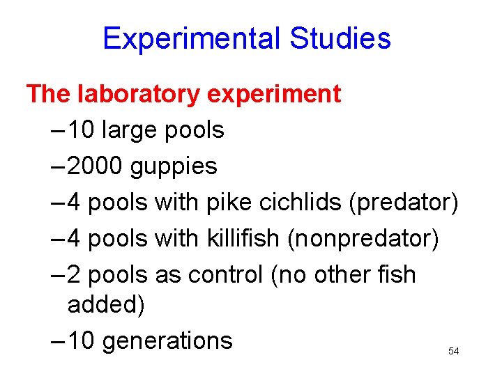 Experimental Studies The laboratory experiment – 10 large pools – 2000 guppies – 4