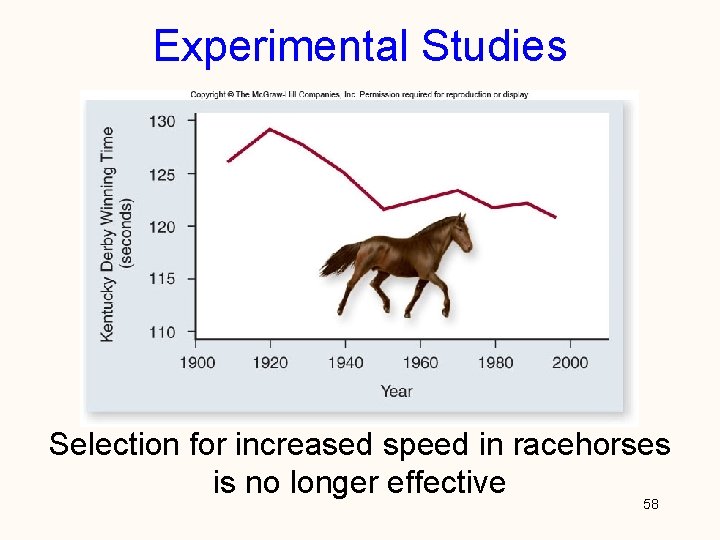 Experimental Studies Selection for increased speed in racehorses is no longer effective 58 