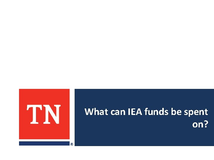 What can IEA funds be spent on? 