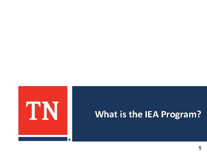 What is the IEA Program? 5 