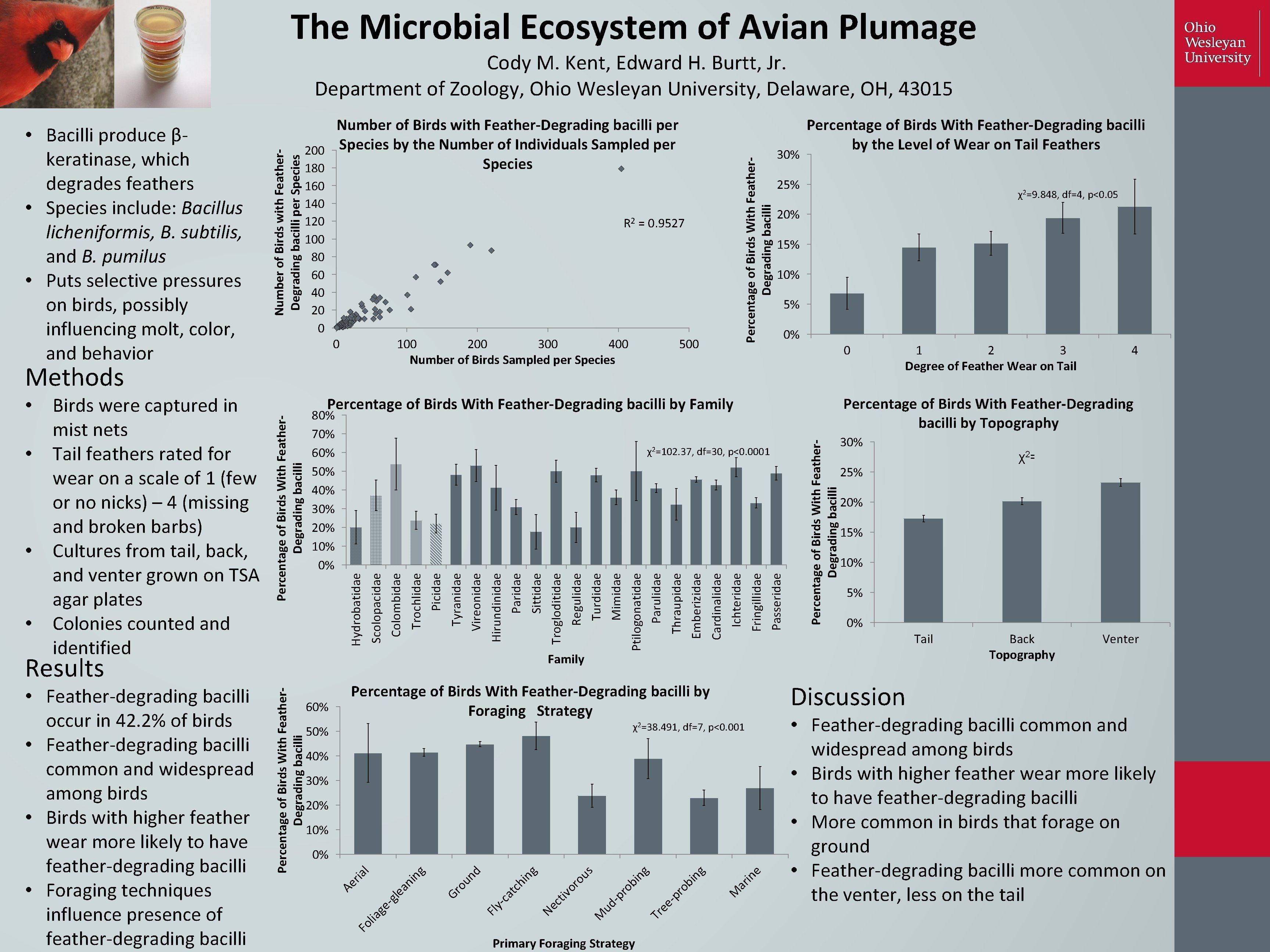 The Microbial Ecosystem of Avian Plumage 160 140 120 100 80 60 40 20