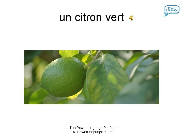 un citron vert The Power. Language Platform © Power. Language™ Ltd 