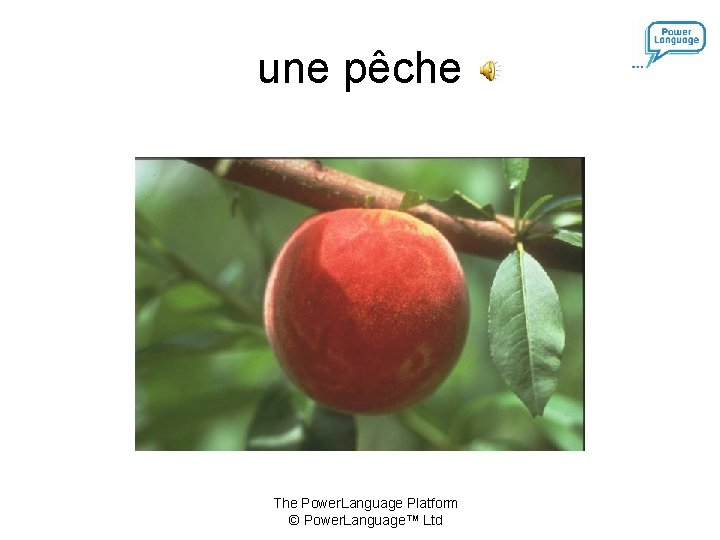 une pêche The Power. Language Platform © Power. Language™ Ltd 