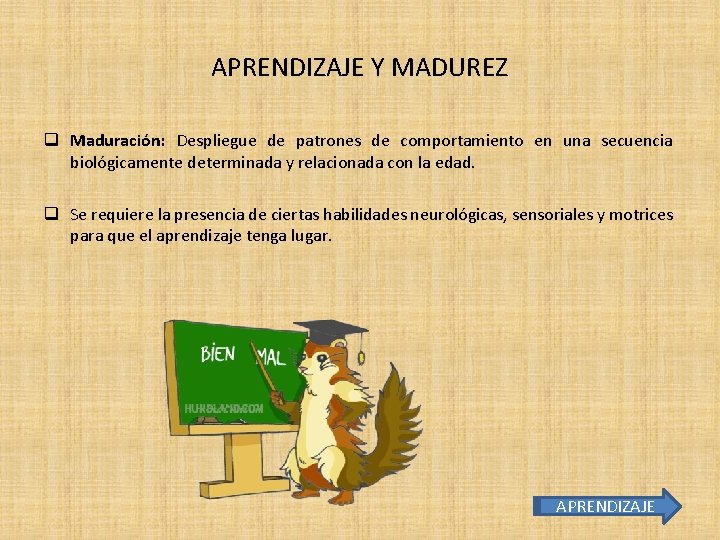 APRENDIZAJE Y MADUREZ q Maduración: Despliegue de patrones de comportamiento en una secuencia biológicamente