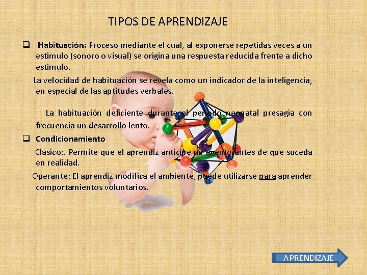 TIPOS DE APRENDIZAJE q Habituación: Proceso mediante el cual, al exponerse repetidas veces a