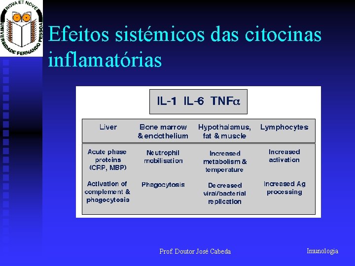 Efeitos sistémicos das citocinas inflamatórias Prof. Doutor José Cabeda Imunologia 