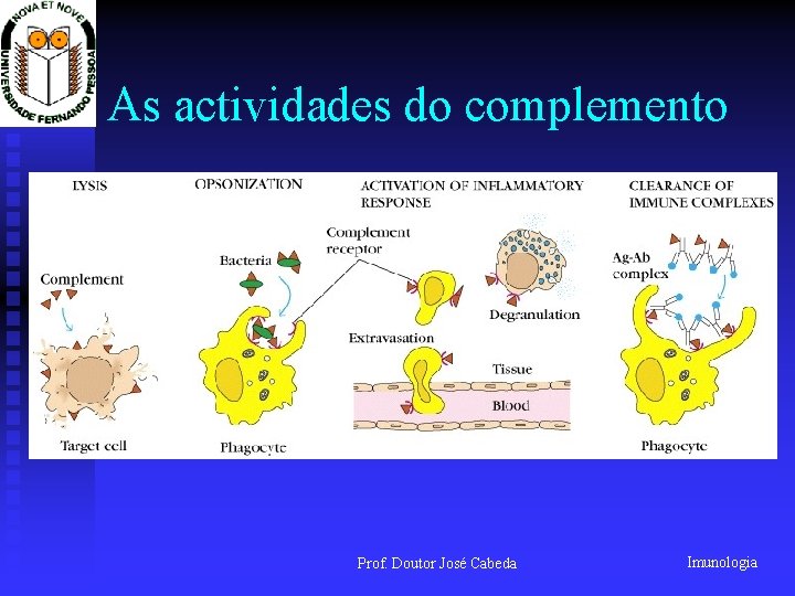 As actividades do complemento Prof. Doutor José Cabeda Imunologia 