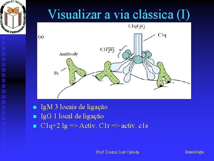 Visualizar a via clássica (I) n n n Ig. M 3 locais de ligação