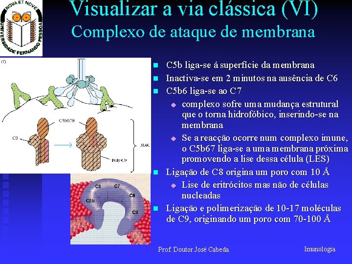 Visualizar a via clássica (VI) Complexo de ataque de membrana n n n C